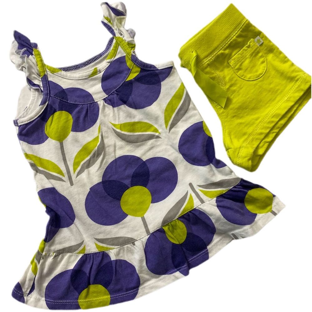 Carters 18M Girls Green & Purple Top/Shorts Outfit